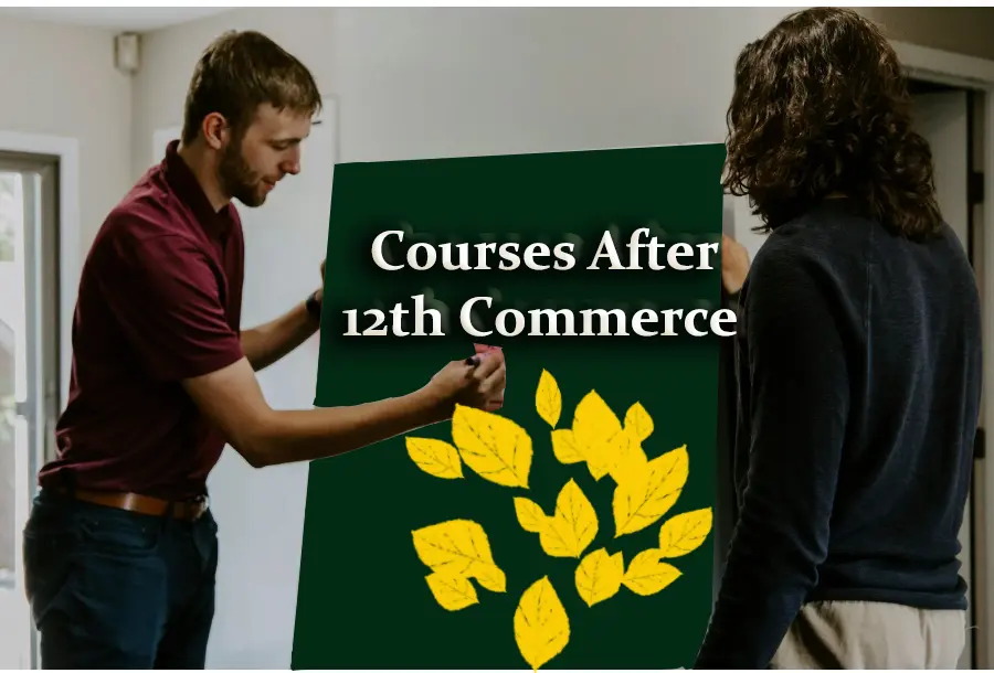 courses after 12th commerce